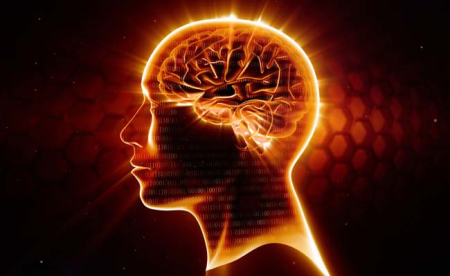 6fd1d69f-6544-4ec3-b063-d69e7e449d0b.png