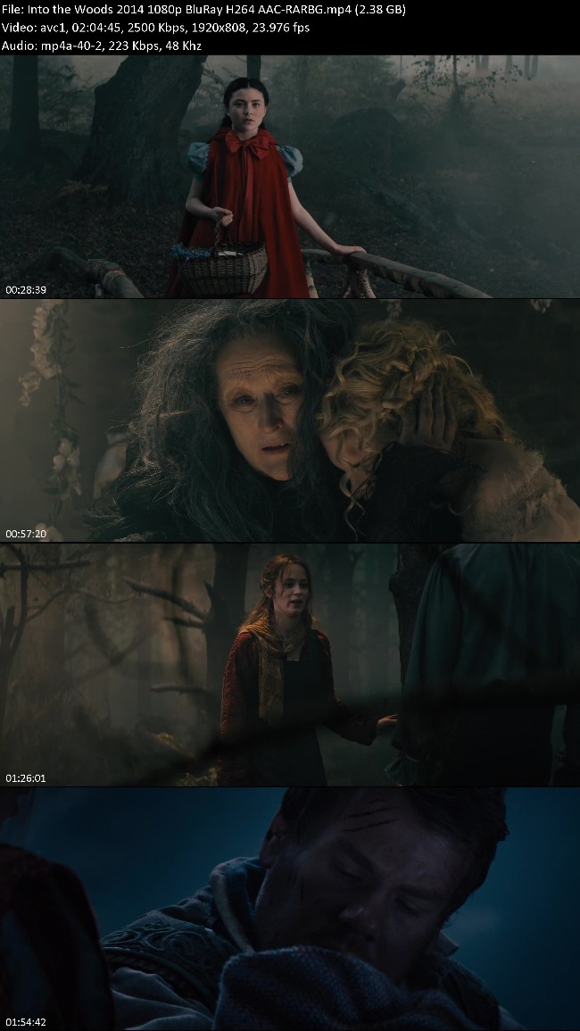 364804554_into-the-woods-2014-1080p-bluray-h264-aac-rarbg.jpg