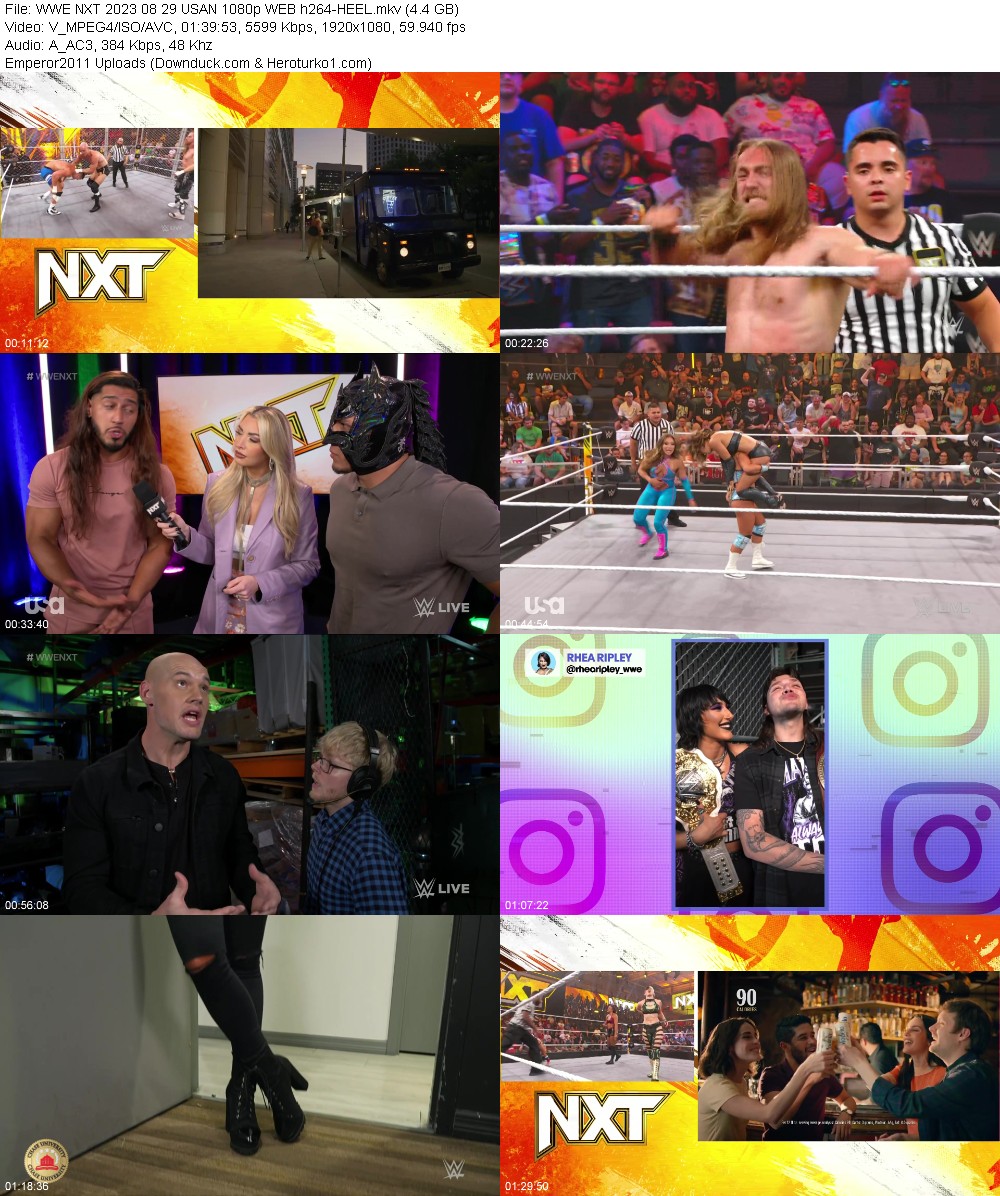377050083_njpf81vb17bs.jpg