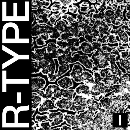 Health-R-TYPE-I-16BIT-WEB-FLAC-2026-FLACCi-D.jpg