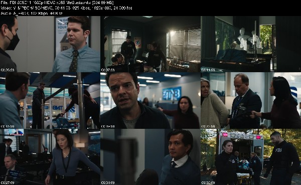 329324597_fbi-s05e11-1080p-hevc-x265-megusta.jpg