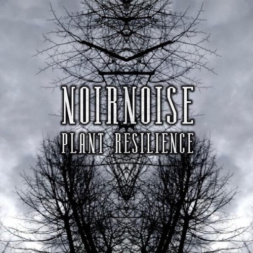 Noirnoise-Plant-Resilience-16BIT-WEB-FLAC-2026-ENRi-CH.jpg