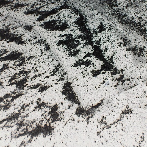 Conrad-Pack-Vertical-Hold-SEMANTICA194-16BIT-WEB-FLAC-2026-PTC.jpg