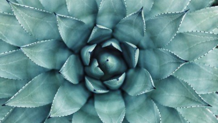 d928d169-6064-44d1-9281-a8cd50bb1522.png