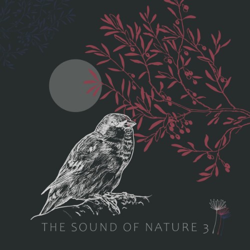 00-va-the-sound-of-nature-3-ctr237-16bit-web-flac-2026.jpg