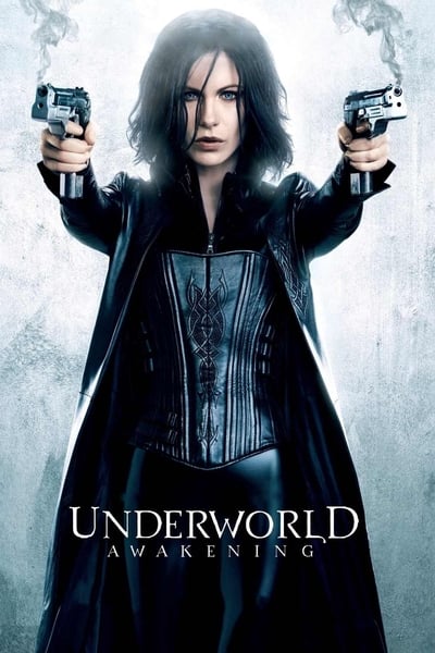 381758875_underworld-awakening-2012-1080p-bluray-x265.jpg