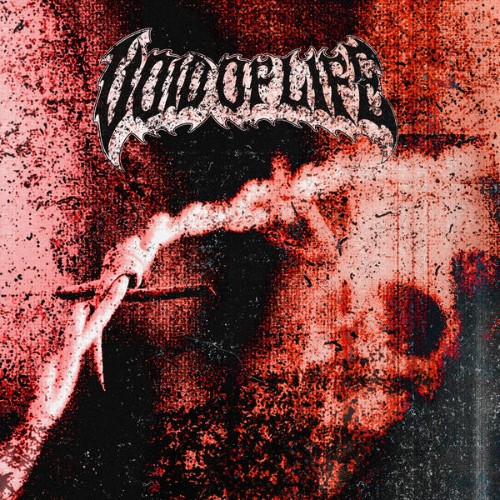 Void-Of-Life-Vol-1-24BIT-WEB-FLAC-2026-VEXED.jpg