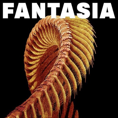 Slift-Fantasia-WEB-2026-ENVi-ED.jpg