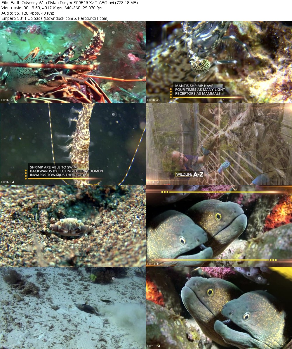 360835686_6bok4deb5rm0.jpg