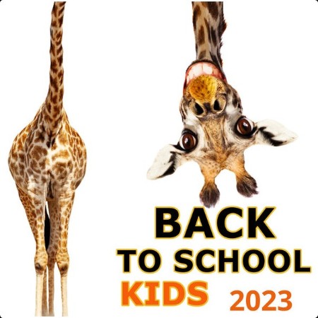 395518728_yjf0a394itfn.jpg