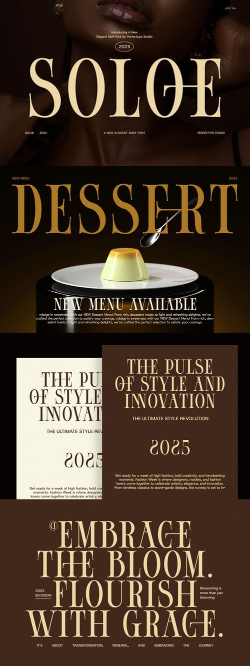 602975217_soloe-elegant-serif-font-ten8kwx.jpg