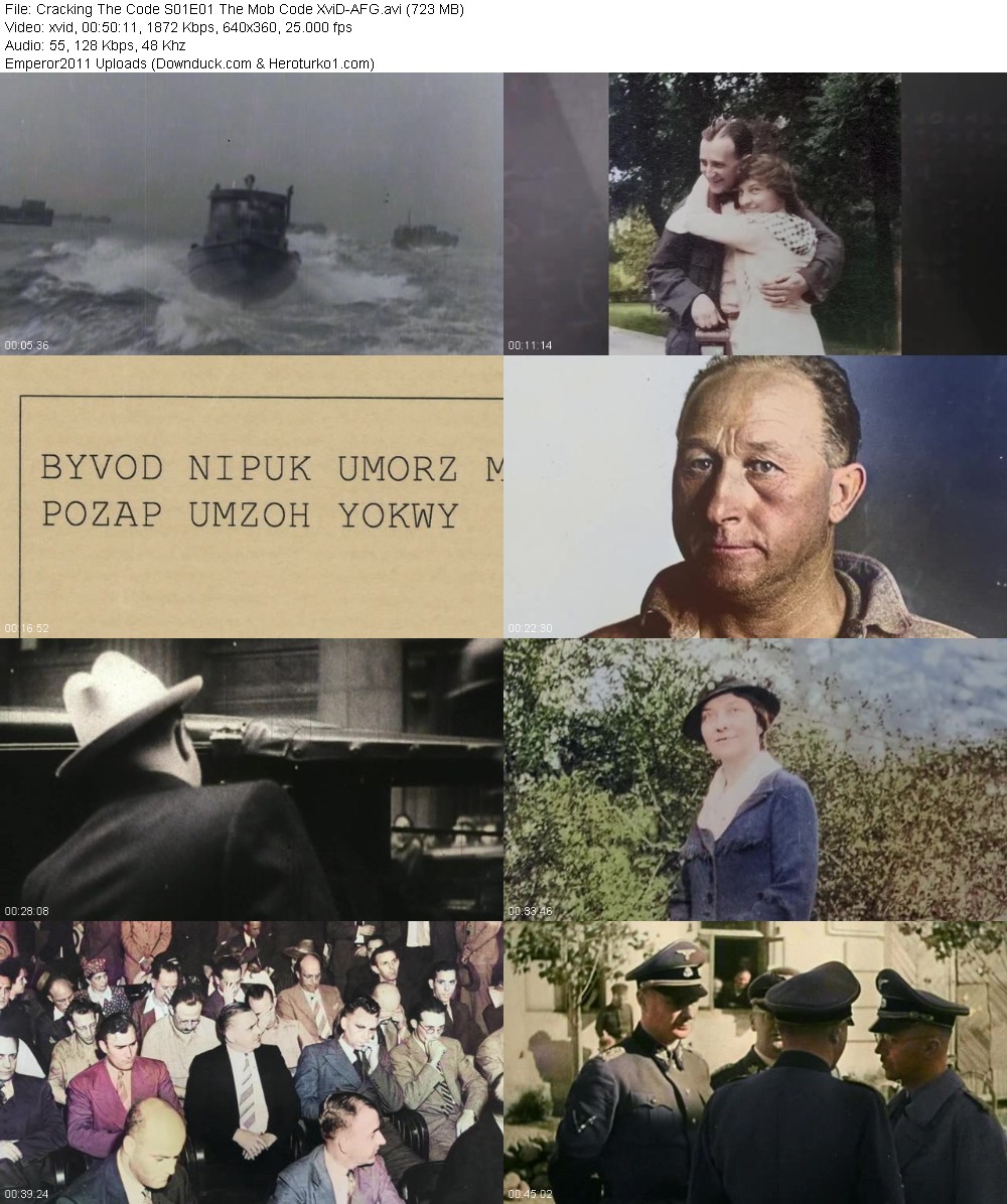 330946682_tl06dcc4zh3z.jpg
