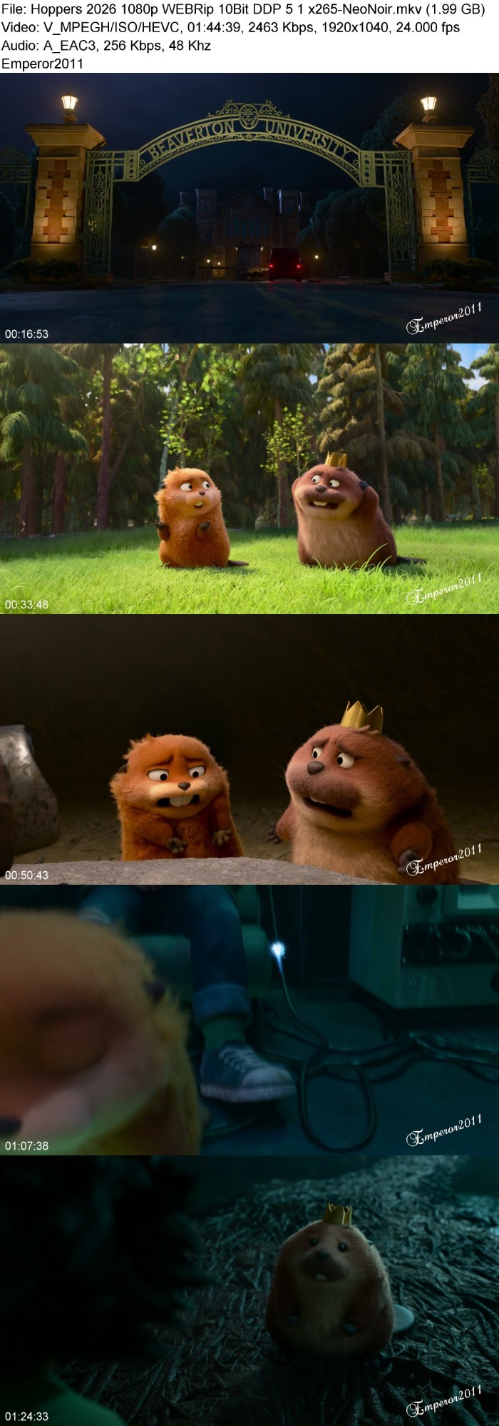 eiHpdAiw_o.jpg