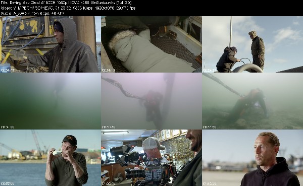 333642653_bering-sea-gold-s15e09-1080p-hevc-x265-megusta.jpg
