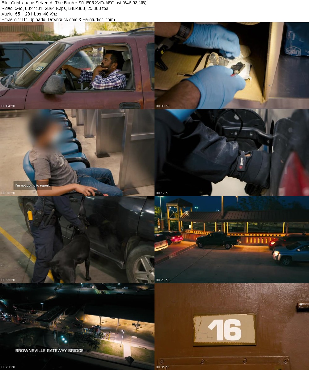 363264100_fm52cixg1n8w.jpg