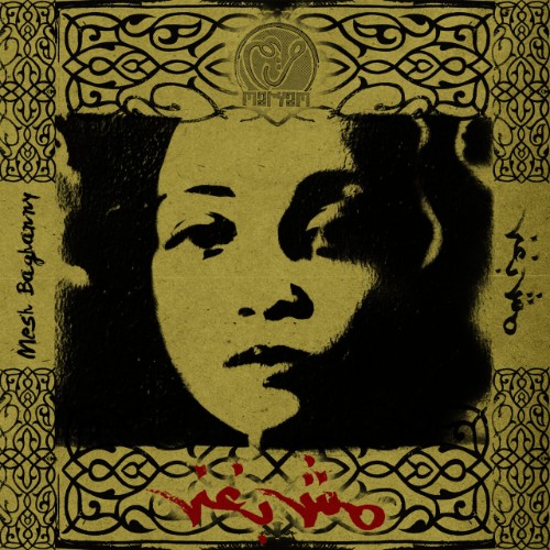Maryam-Saleh-2012-Mesh-Baghanny.jpg