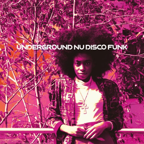 Underground-Nu-Disco-Funk-Discovering-Hidden-Gems-2025-FLAC.jpg
