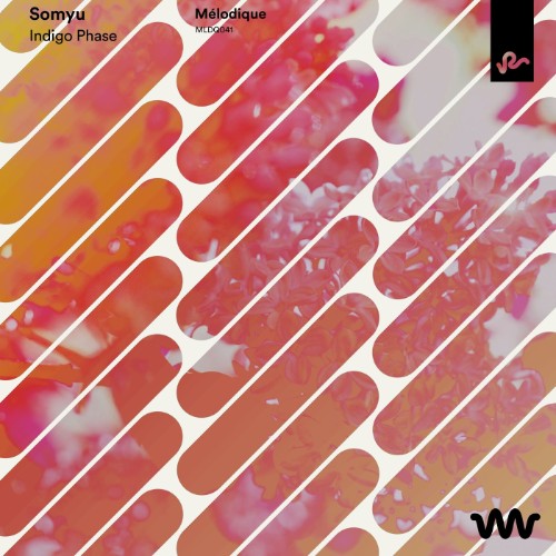00-somyu-indigo-phase-mldq041-single-web-2026-cover.jpg