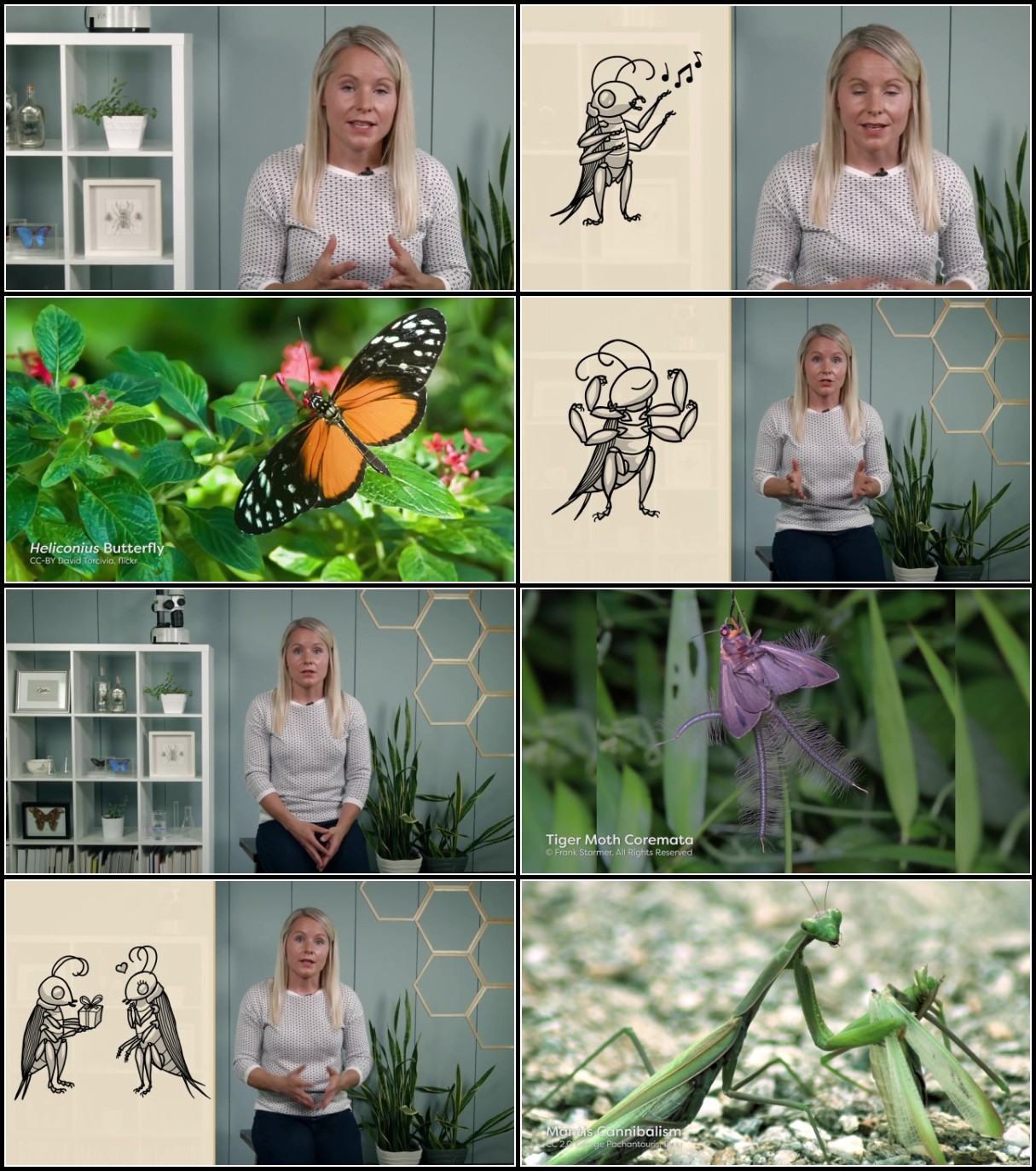 fyvlGm8A_o.jpg
