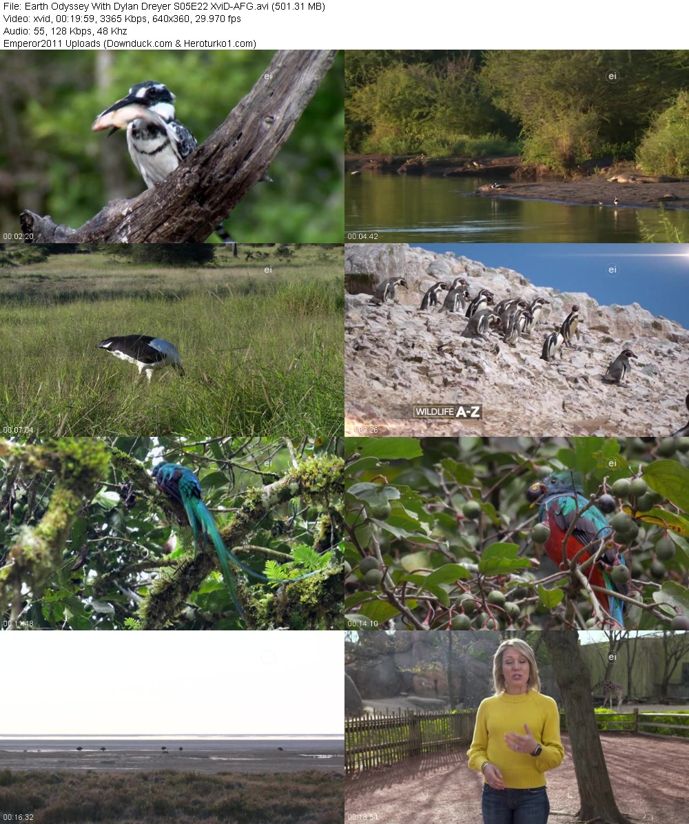 368782624_ss28ssqk4r6v.jpg