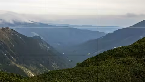 WVzc.png