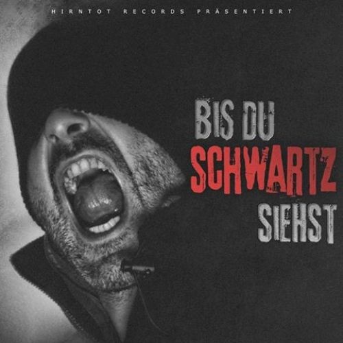 10-Bis-Du-Schwartz-Siehst-2015.jpg