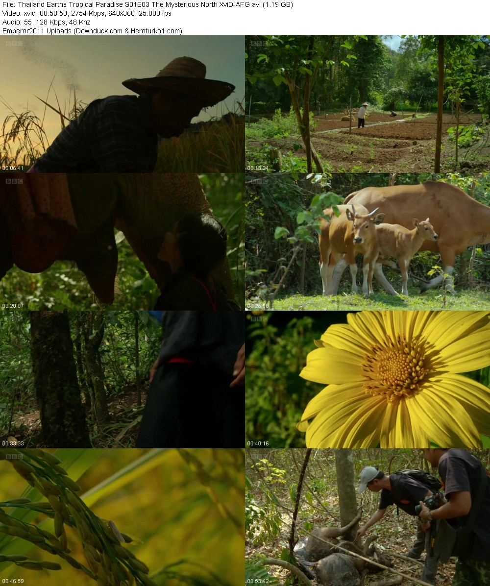 363253031_3g62dar3ctqf.jpg