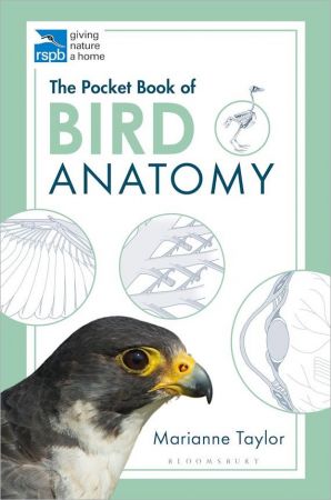 th-n0d8-Md5-R0gz1-Vehnwcxo-V9-OM7etf-Etx-N.jpg