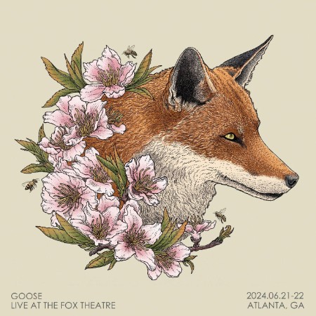 Goose-Live-at-The-Fox-Theatre-16-BIT-WEB-FLAC-2024-ENVi-ED.jpg