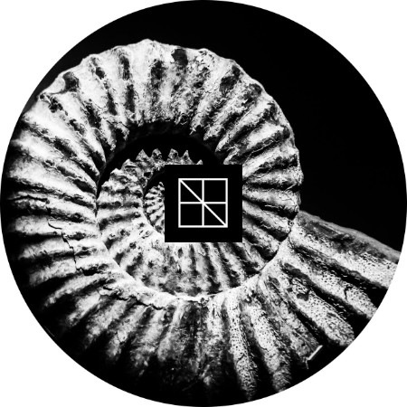 Hioll-Morphogenesis-BST025-24-BIT-WEB-FLAC-2025-WAVED.jpg