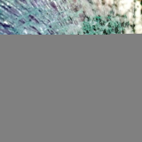 Danicc-Entropy-LPZ045-16BIT-WEB-FLAC-2026-WAVED.jpg